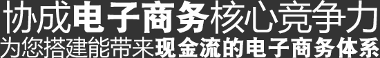 協城電子商務核心競爭力,為您搭建能帶來現金流的電子商務體系 協城電子商務核心競爭力,為您搭建能帶來現金流的電子商務體系
